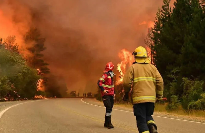 El Parque Botánico alerta: extremar cuidados para prevenir incendios forestales