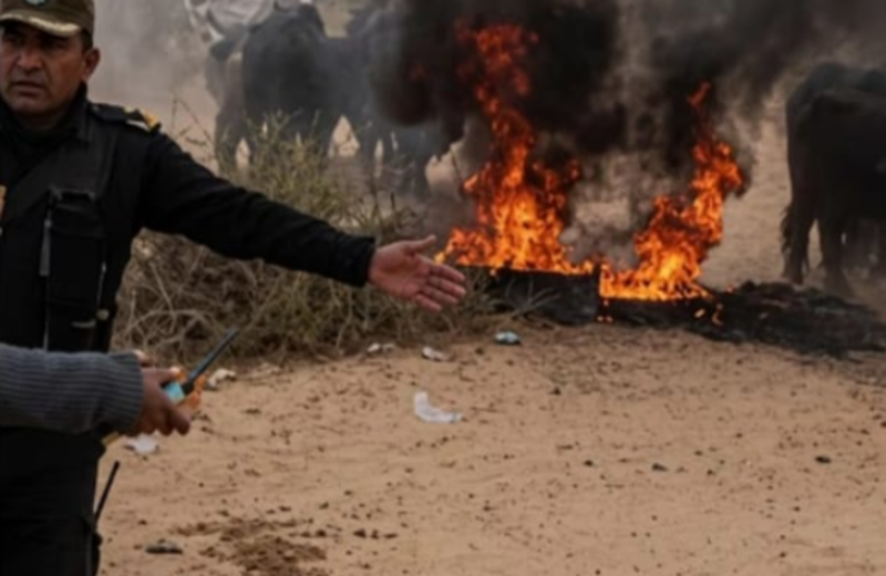  Tensión en Humahuaca: denuncian un violento desalojo en tierras comunitarias