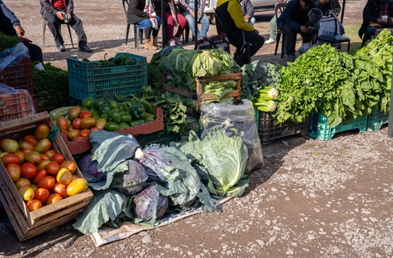 Más de 300 productores y artesanos de toda la provincia llevarán adelante 
