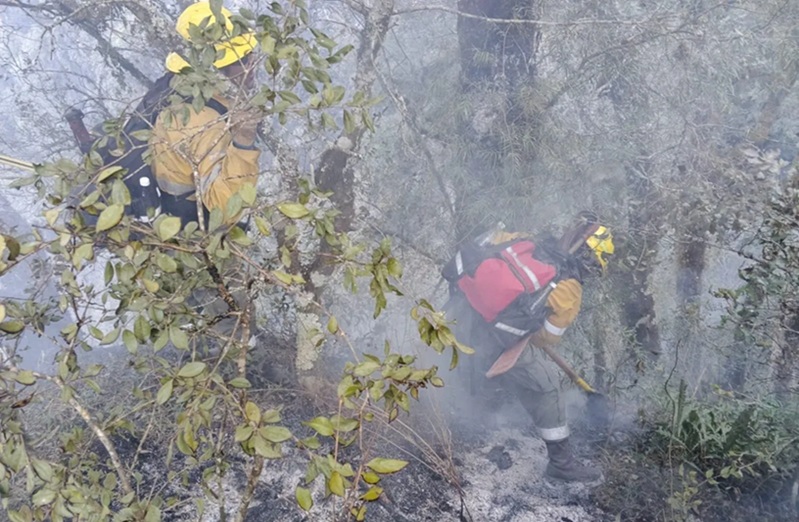 Tras un intenso trabajo se logró evitar el avance de las llamas: El incendio en Tiraxi Chico se encuentra contenido