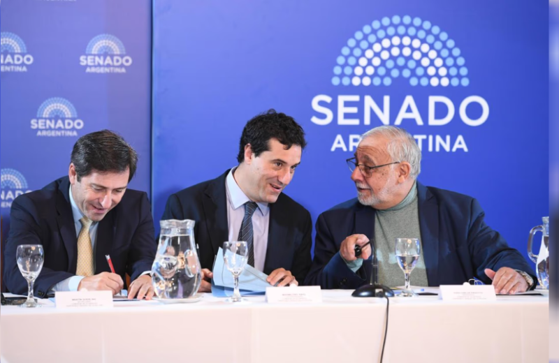 El Senado pone la lupa sobre los jueces que podrían definir el futuro de la causa $LIBRA