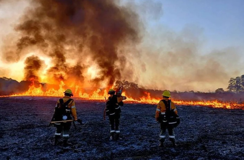 Combatientes de incendios forestales ya se encuentran trabajando en el inicio de la temporada alta