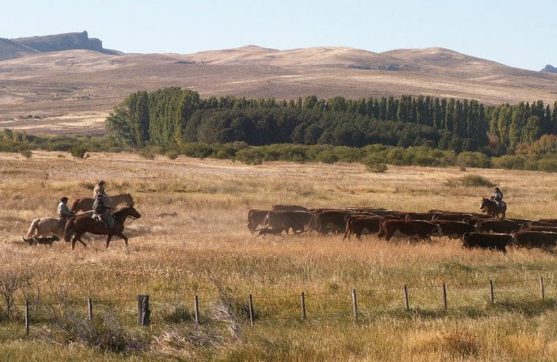 El Senado avanza con la reforma de la Ley de Tierras para la venta sin restricciones a extranjeros privados