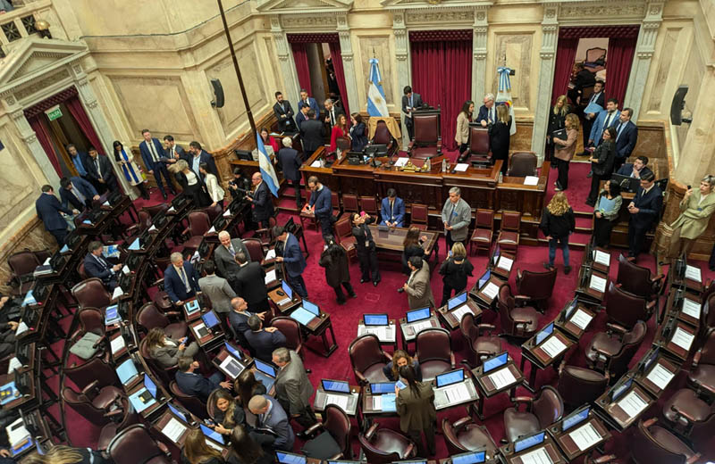 El Senado postergó el debate de la ley de Propiedad Privada para el 6 de agosto