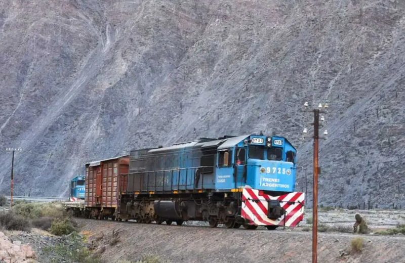 Buscan incorporar los ramales C14 y C15 a la licitación del Belgrano Cargas 