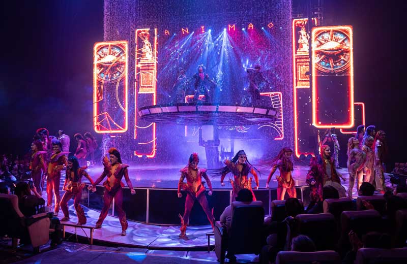 El Circo Ánima realizará una función solidaria para apoyar al Hospital Materno Infantil