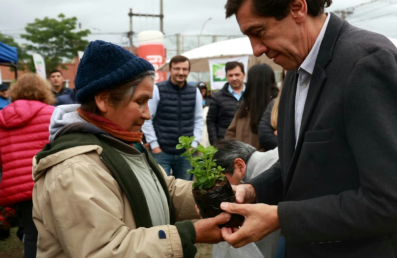 Expo Raíces en el Carmen y reunió a emprendedores, productores y colectividades