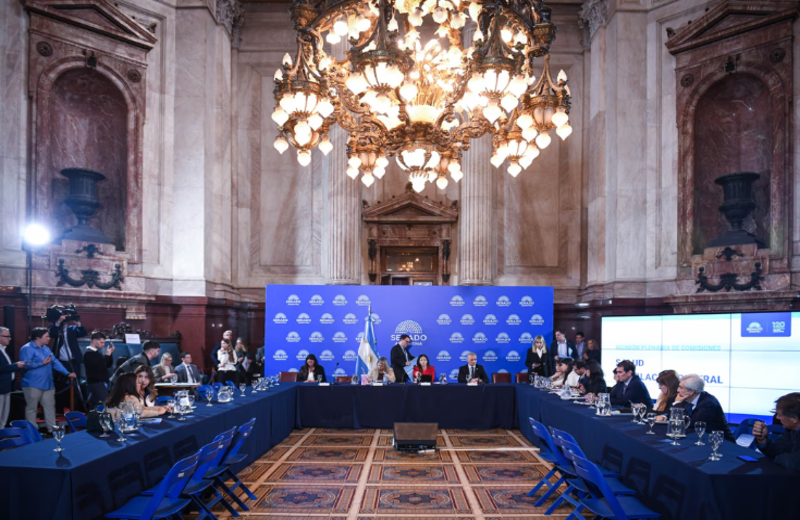 El Senado avanza con la reforma de la Ley de Salud Mental: qué cambiaría en las internaciones y las adicciones