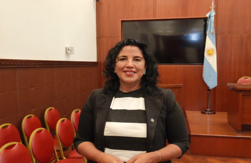 Diputadas de todos los bloques impulsan una agenda de prevención del cáncer de mama en Jujuy