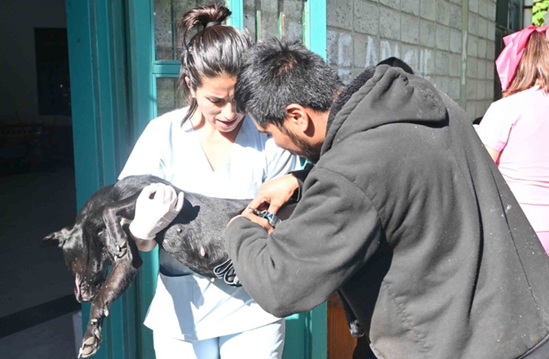 Este martes inicia el cronograma semanal del quirófano móvil y operativo de bienestar animal