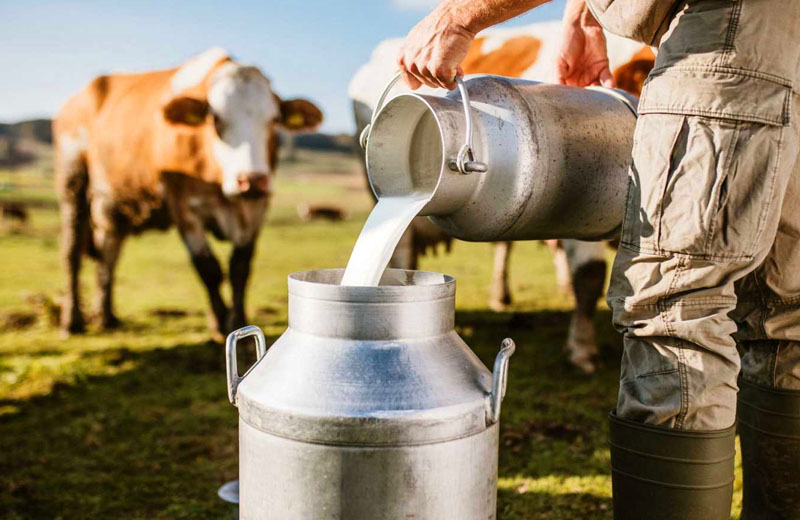 Luego de la suspensión de las retenciones, los lácteos no podrán aumentar más del 5% mensual