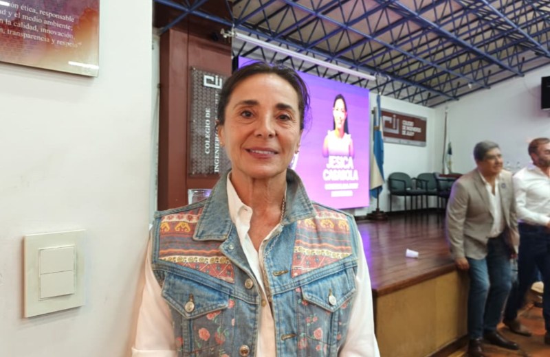 Morosidad: Andreussi propuso avanzar en límites a las tasas de las billeteras virtuales