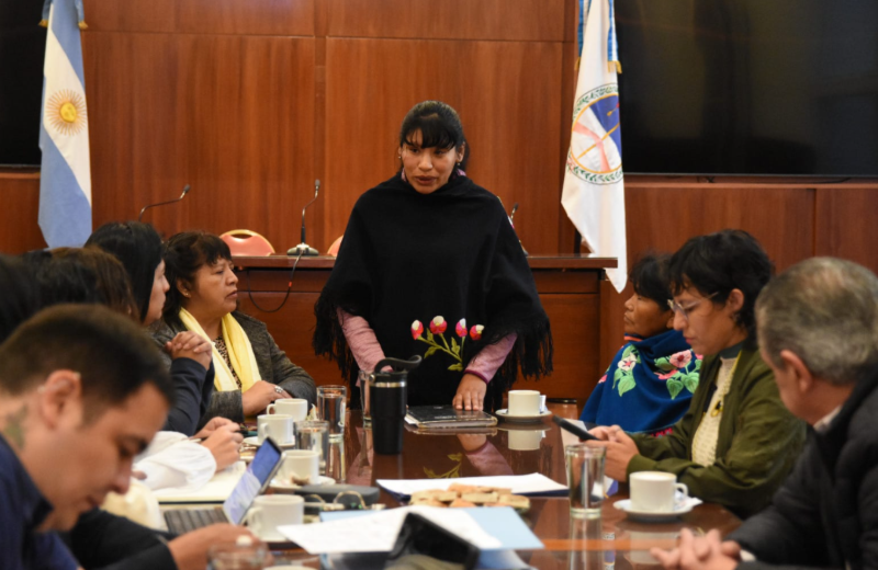 La Comunidad Pueblo Coya de Caspalá llevó sus reclamos a la Legislatura de Jujuy