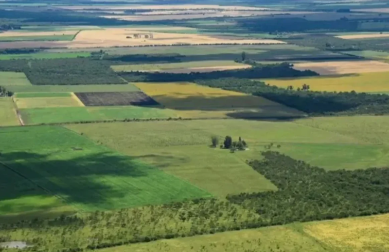 La Corte Suprema revocó el fallo contra la derogación de la Ley de Tierras Rurales