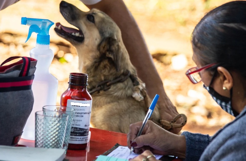 Inicia una nueva semana con el quirófano externo y Bienestar Animal por los barrios capitalinos